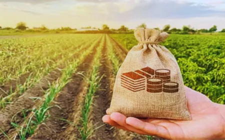 Agricultural sector production increased to Rs 29.49 lakh crore in FY 2024, government data released