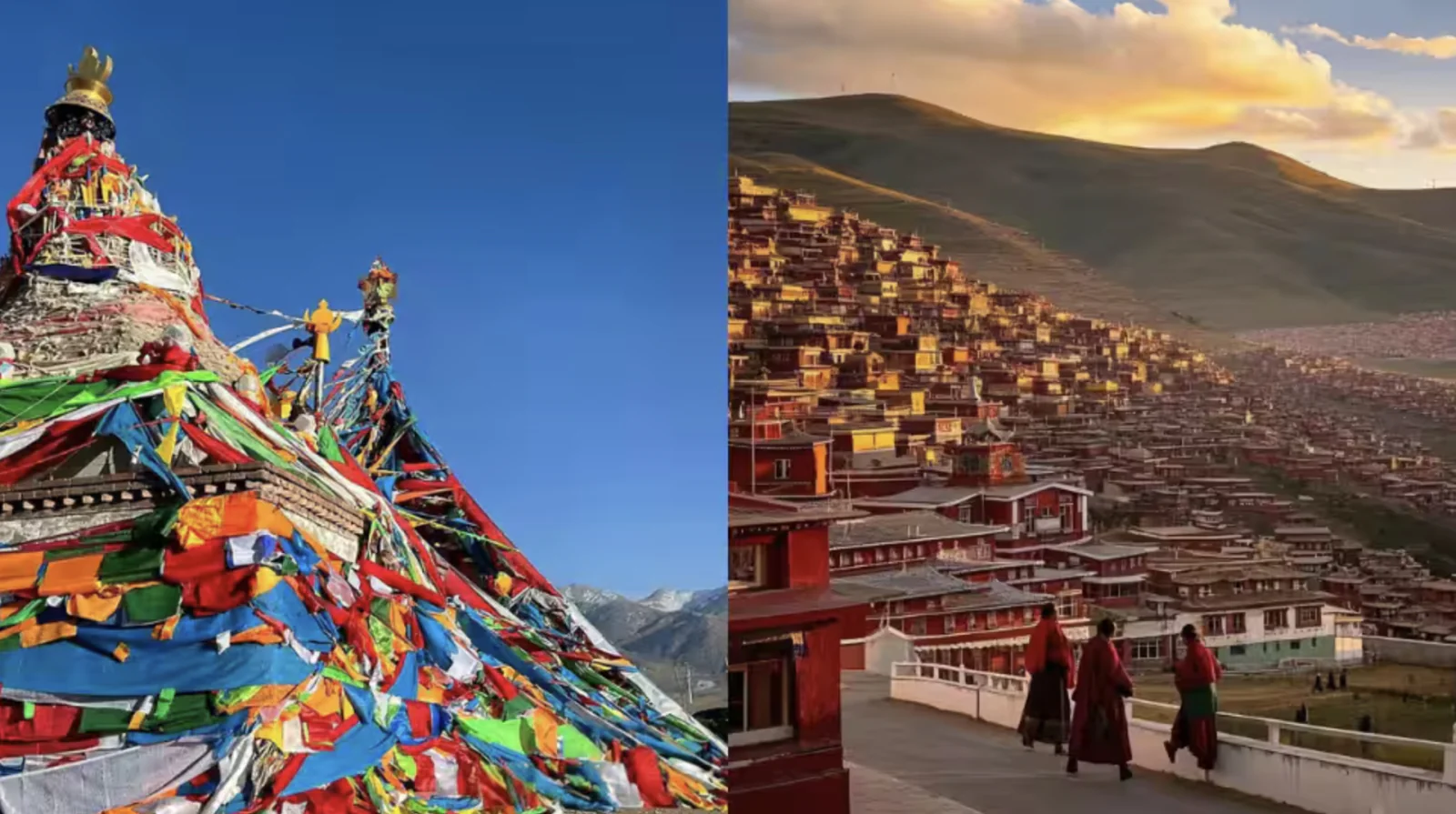 'The issue related to Tibet has become a thorn in the relationship', China's harsh words before Jaishankar's visit