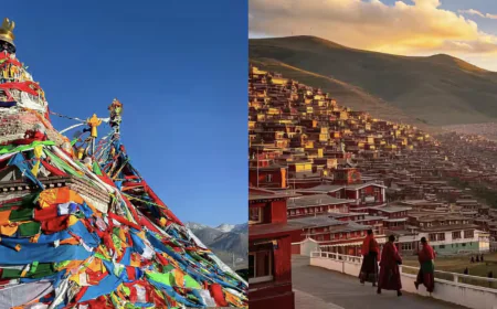 'The issue related to Tibet has become a thorn in the relationship', China's harsh words before Jaishankar's visit