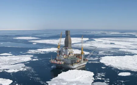 EU sanctions do not hinder global supply-purchase; envoy argued in support of the decision