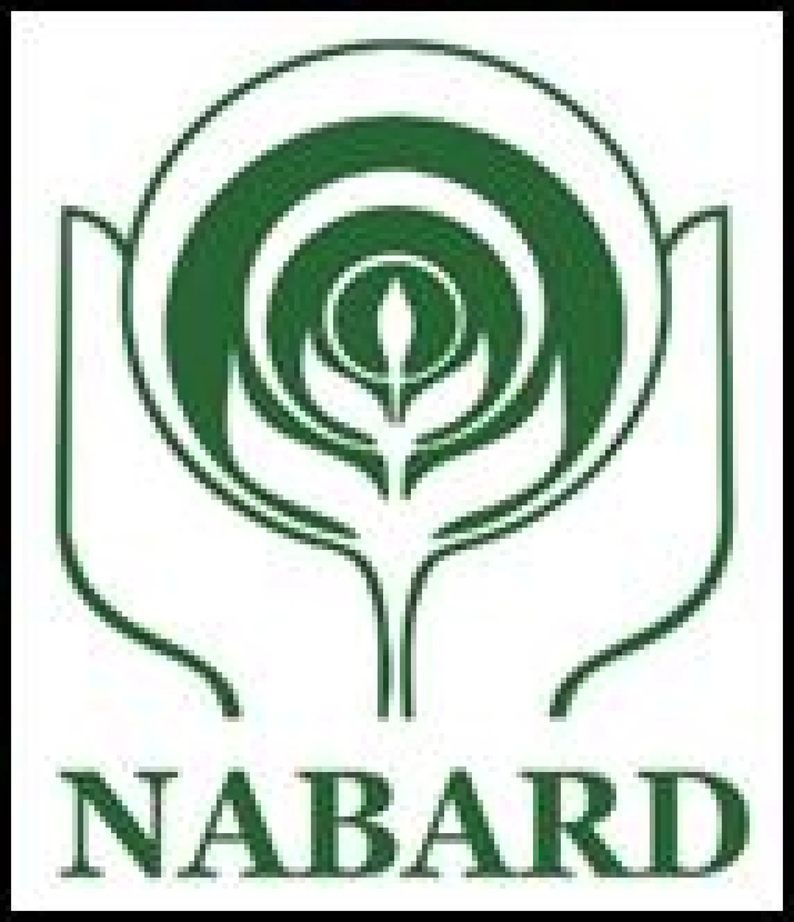 NABARD: 76.6% rural families increased their expenditure due to reduction in inflation, government help also provided relief