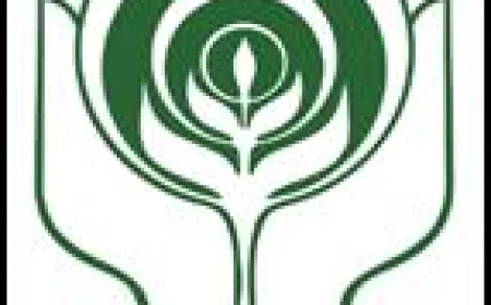 NABARD: 76.6% rural families increased their expenditure due to reduction in inflation, government help also provided relief