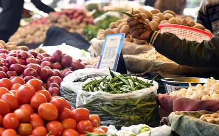 Wholesale inflation rate at two-year low in July 2025; Know what the government figures say