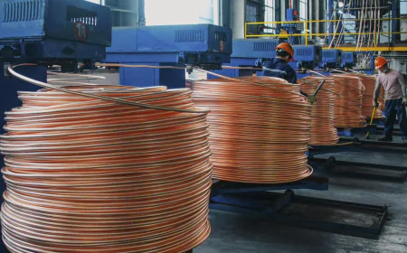 India Seeks WTO Consultation Over US 50% Duty on Copper Products