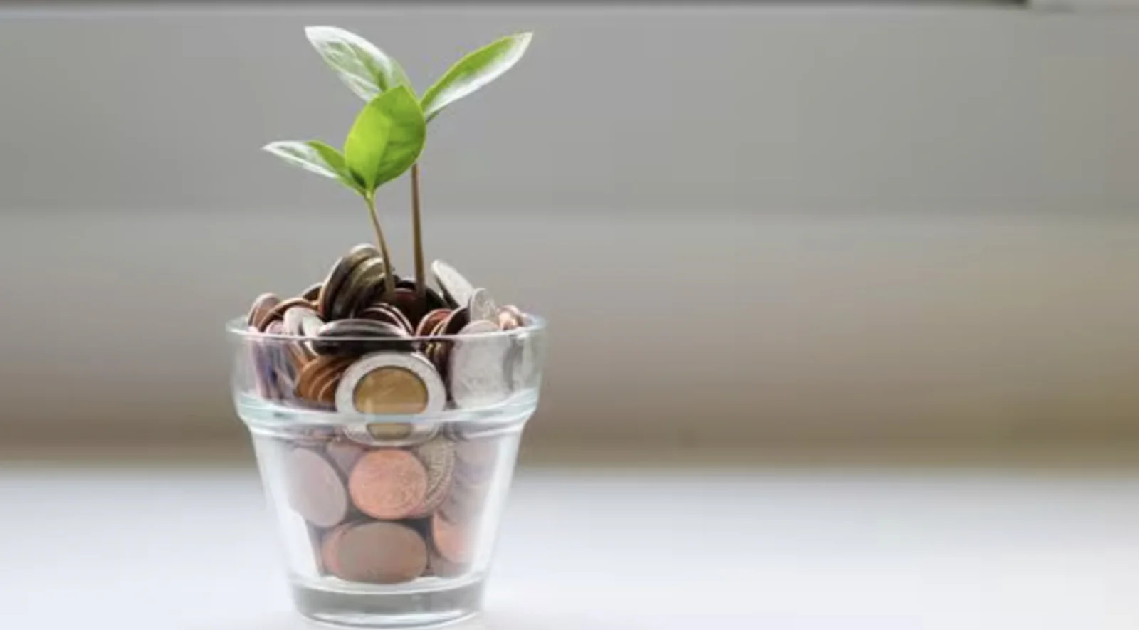 Mid-Cap Funds Shine: ₹1 Lakh in Nippon India Growth Fund Now Worth Over ₹4 Crore