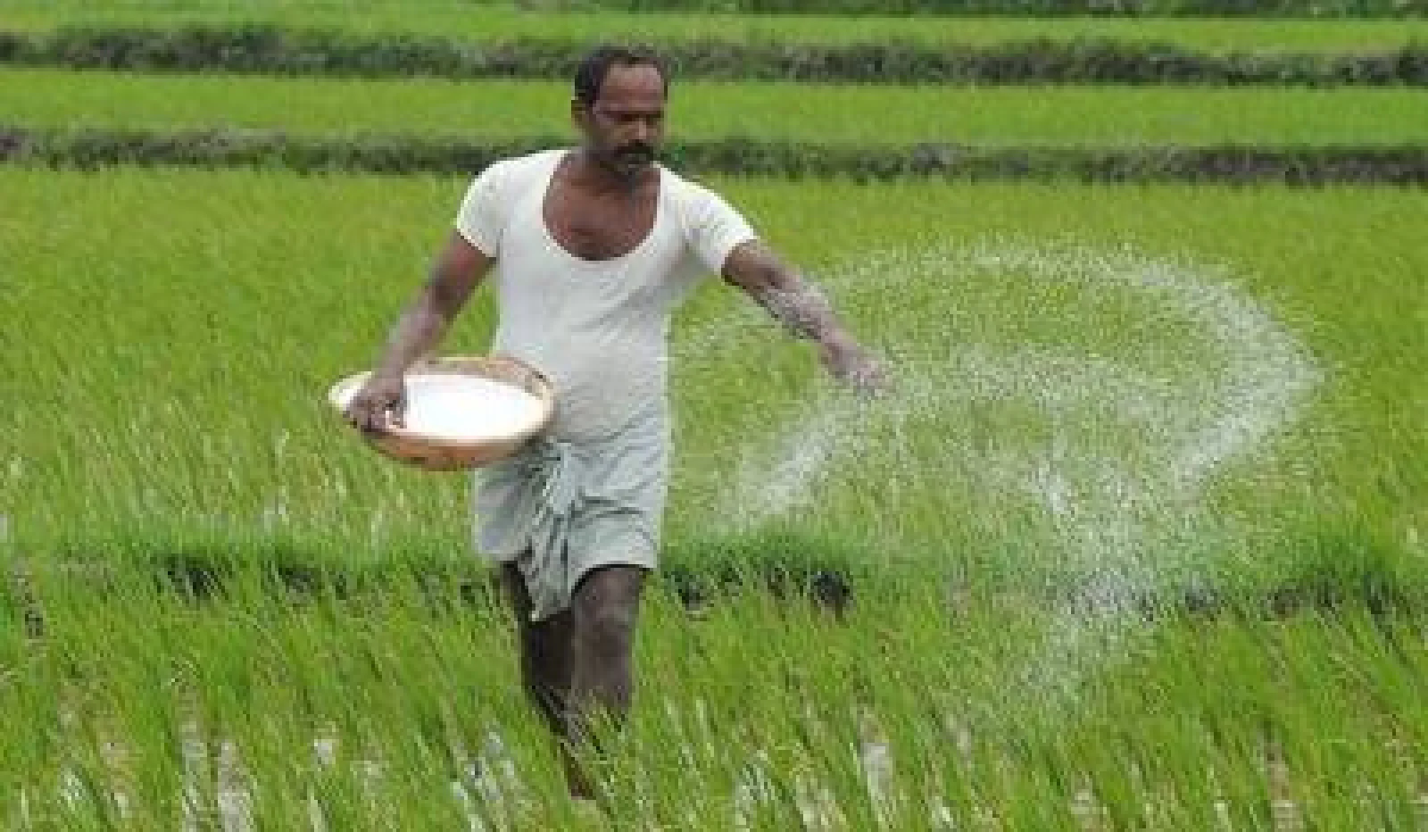 Fertilizer Subsidy Boost: PM Modi Says Step Will Strengthen Farmer Welfare