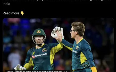 Australia Suffer Double Blow Ahead of ODI Series Against India: Inglis, Zampa Miss First Match