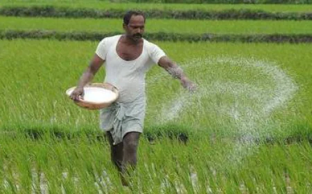 Fertilizer Subsidy Boost: PM Modi Says Step Will Strengthen Farmer Welfare