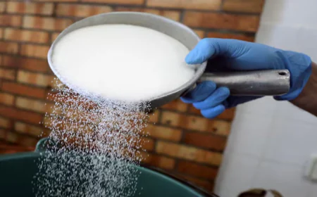 Sugar Export Approval Under Consideration Amid Surplus Stocks, Says Food Secretary