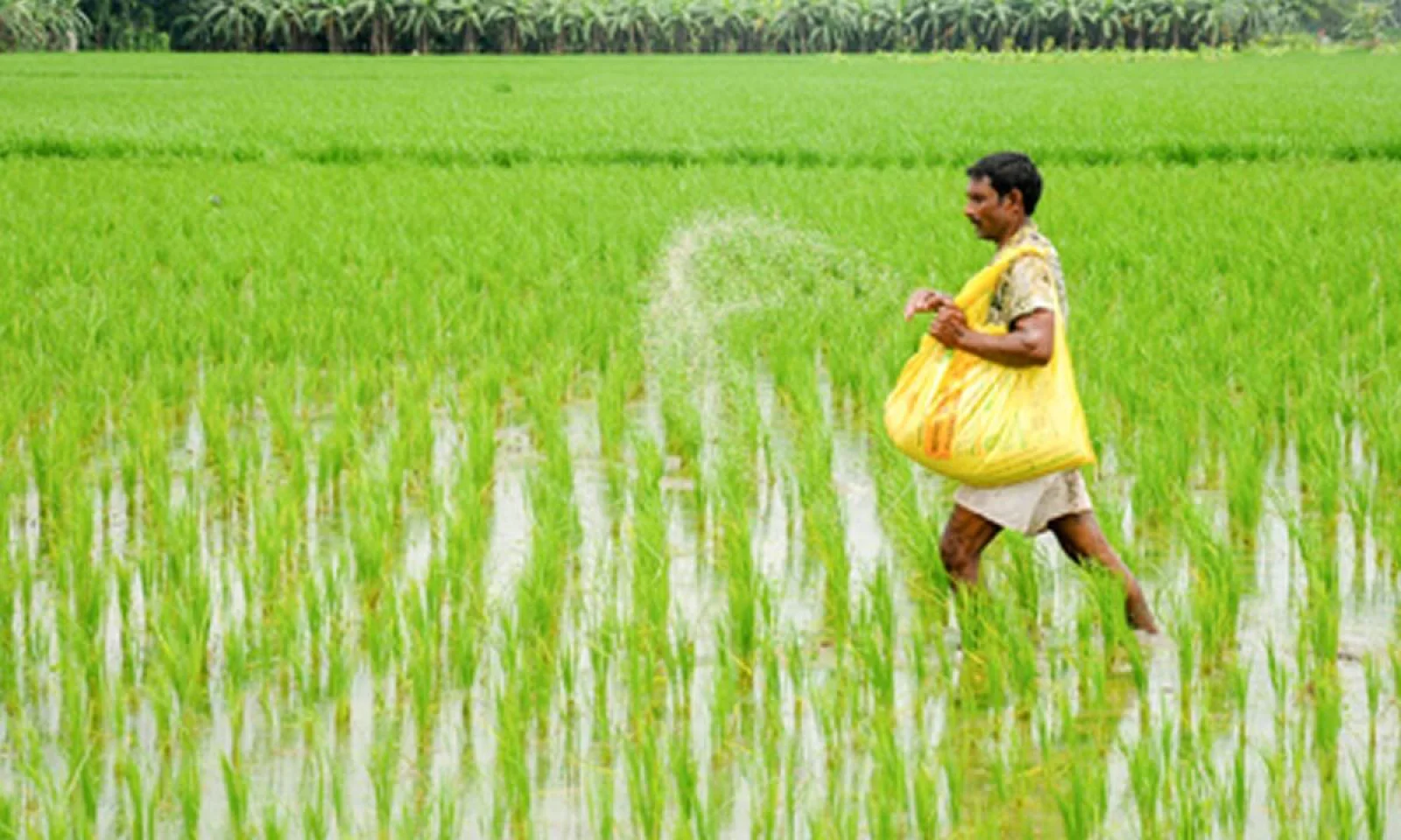 Domestic Urea Production Rises; Stocks Up to 68.85 Lakh Tonnes in October