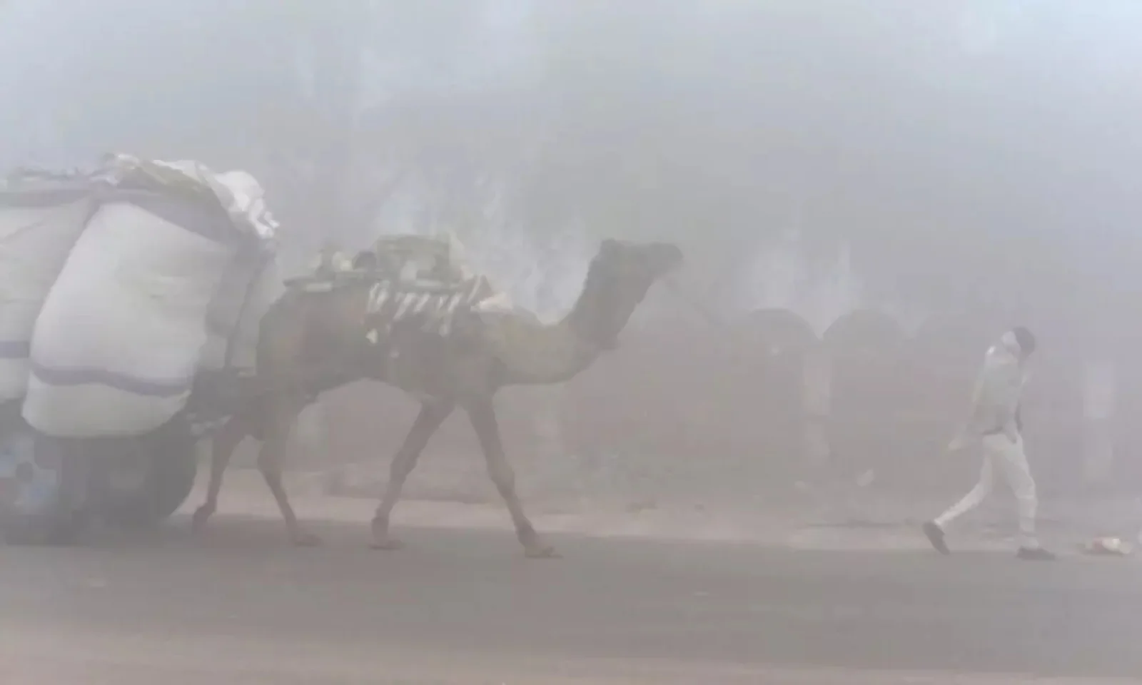 IMD Warns of Colder-Than-Normal Winter; North and Central India May Break Temperature Records