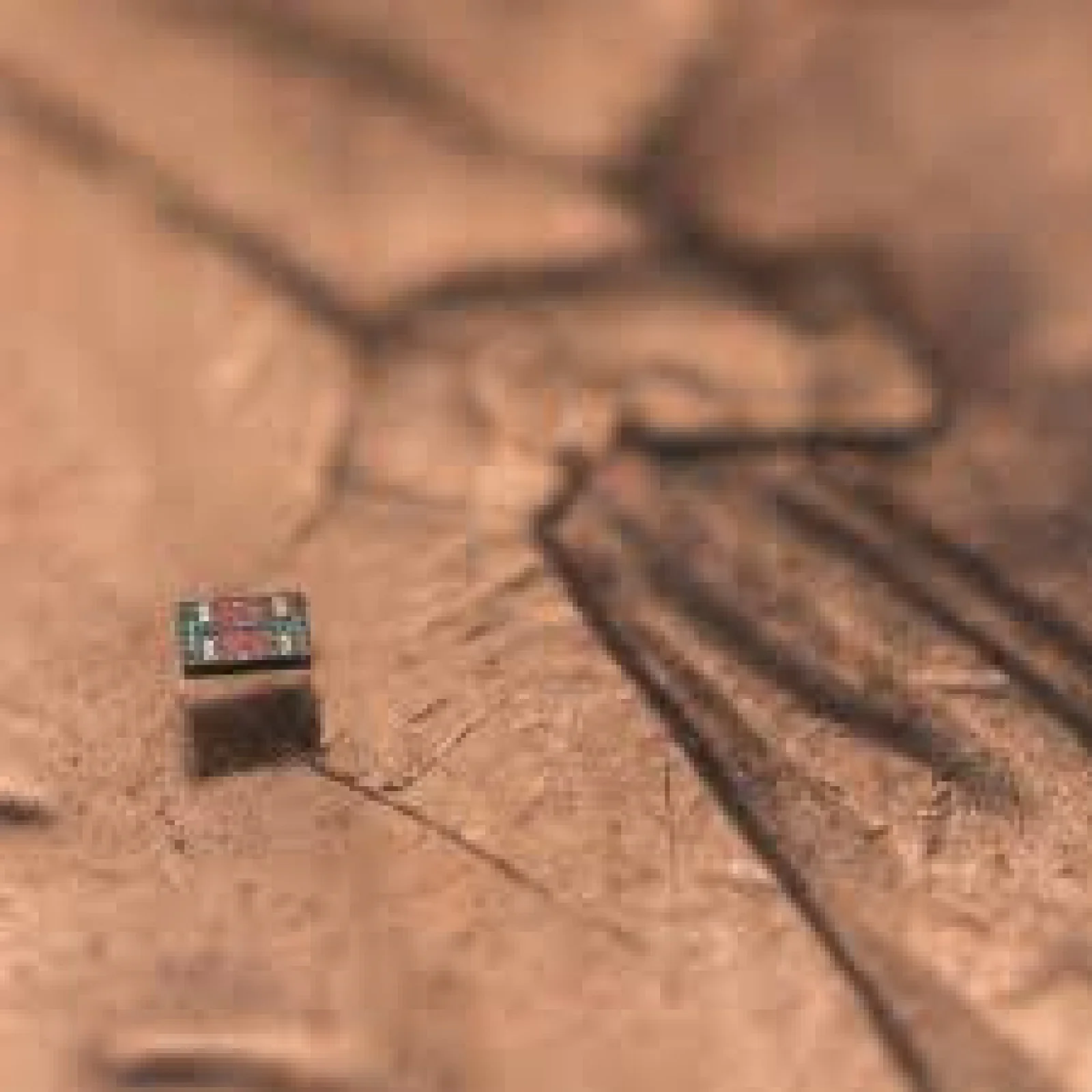 Researchers Develop Salt-Grain-Sized Robot With Independent Intelligence