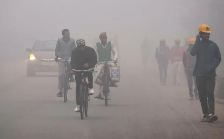 Cold Wave Alert for Vidarbha, Chhattisgarh, Odisha; No Major Temperature Drop Expected in Delhi