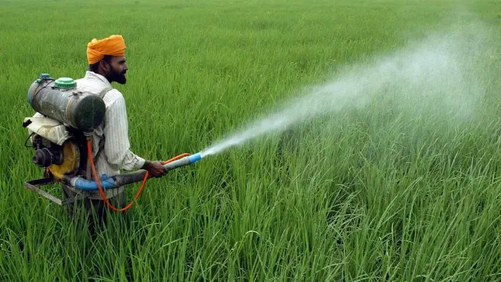 Centre Releases Draft Pesticide Management Bill 2025, Seeks Public Feedback