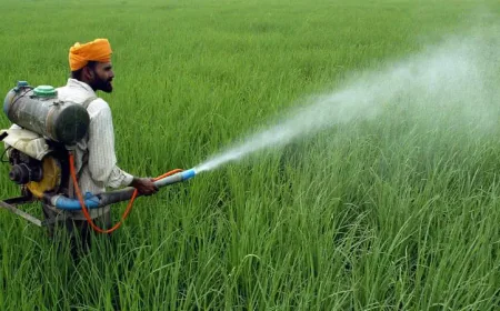 Centre Releases Draft Pesticide Management Bill 2025, Seeks Public Feedback