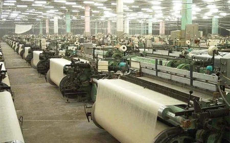 Tex-RAMPS Scheme: 15 States Partner With Centre to Strengthen Textile Industry