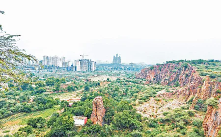 Aravalli Conservation: Model Village Project Presented at National Conference