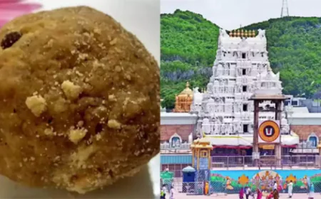 CBI Files Chargesheet in Tirupati Laddu Ghee Adulteration Case