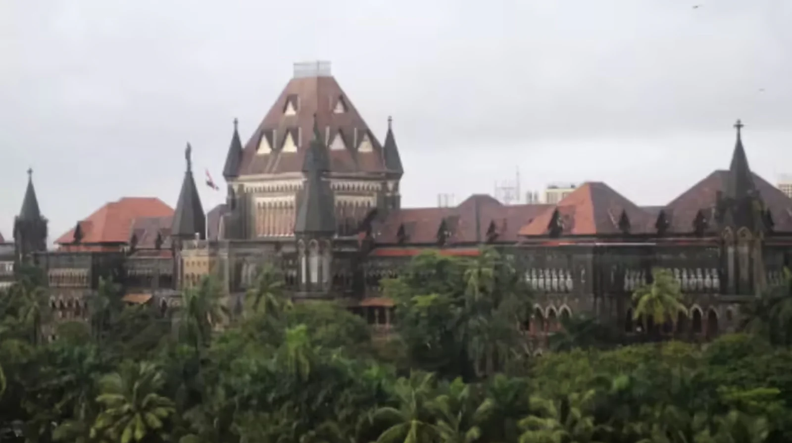 Bombay High Court Slams BMC Over Road Encroachments, Calls Situation ‘Serious’