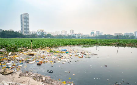 Big Boost to Marine Conservation: Plastic Barriers Coming to Mumbai Waterways