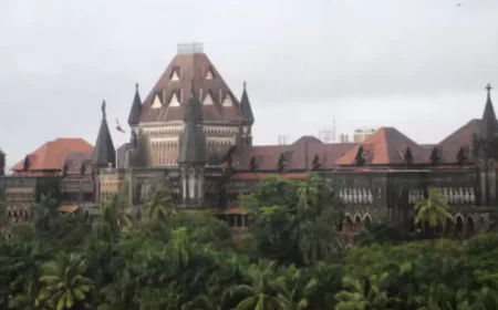 Bombay High Court Slams BMC Over Road Encroachments, Calls Situation ‘Serious’