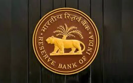 Reserve Bank of India Data Shows Forex Reserves Hit Record $725.72 Billion
