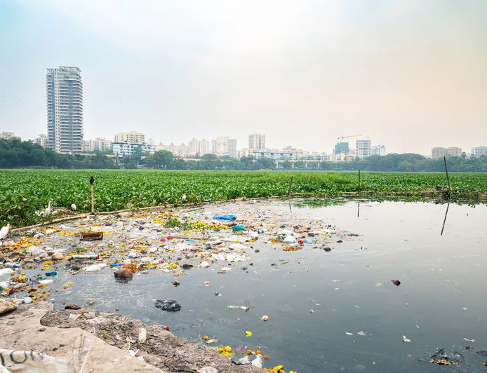 Big Boost to Marine Conservation: Plastic Barriers Coming to Mumbai Waterways