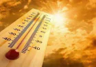India Meteorological Department Predicts Above-Normal Heat Across India