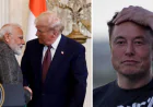Ministry of External Affairs Denies Elon Musk Was on Narendra Modi-Donald Trump Call