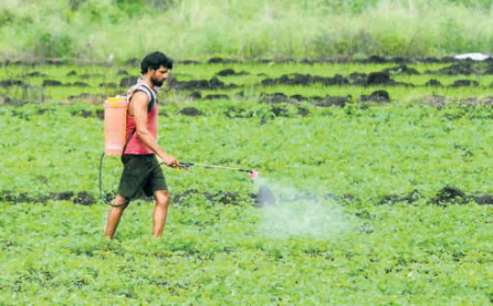 Fertilizers and Chemicals Travancore Limited Says Kharif Fertilizer Supply Secure Despite West Asia Tensions