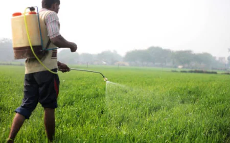 India Builds Fertilizer Buffer Stock of 18 Million Tonnes, Secures Imports from Multiple Nations