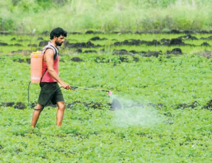 Fertilizers and Chemicals Travancore Limited Says Kharif Fertilizer Supply Secure Despite West Asia Tensions