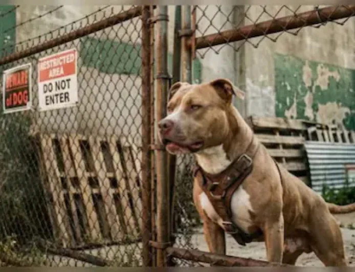 Woman Cop Attacked by Pet Pit Bull During Investigation in Chanakya Nagar, Bikaner