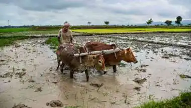 India Meteorological Department flags weak monsoon risk, but reservoir levels offer relief to farmers