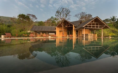 Nature: The ultimate Vitamin. Unlock Freedom from Supplements Overload through Naturopathy