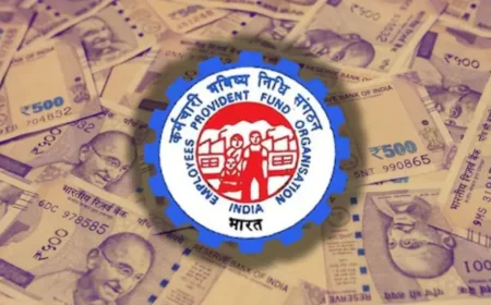 Employees' Provident Fund Organisation Set to Credit 8.25% Interest Soon, Awaiting Govt Nod