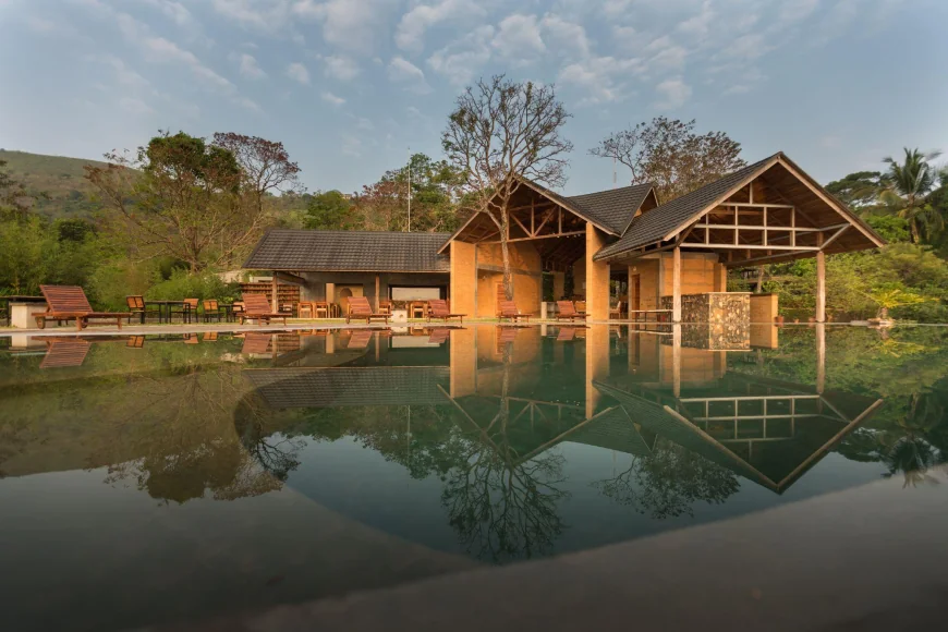 Nature: The ultimate Vitamin. Unlock Freedom from Supplements Overload through Naturopathy