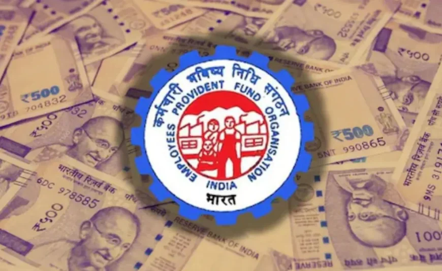 Employees' Provident Fund Organisation Set to Credit 8.25% Interest Soon, Awaiting Govt Nod