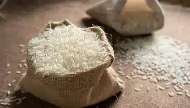 APEDA’s Choice of Law Firm for Basmati GI Cases Sparks Objections from Rice Exporters, Commerce Ministry Approached
