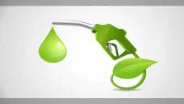 'Fear-mongering claims': Govt trashes social media claims on harmful effects of E20 petrol