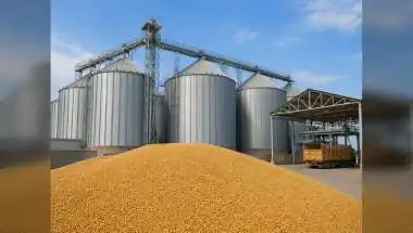 Rajasthan Tops India in Grain Storage, Cooperative Reforms