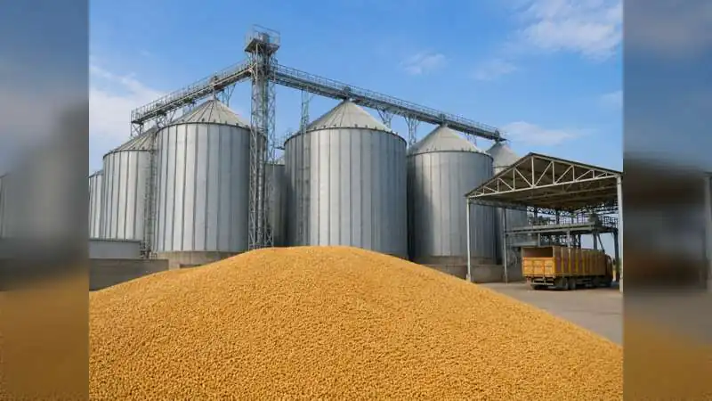Rajasthan Tops India in Grain Storage, Cooperative Reforms