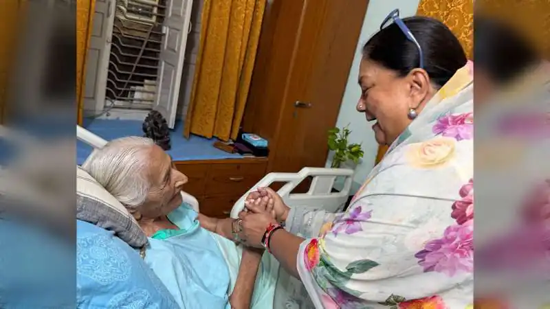 Vasundhara Raje Meets Former Speaker Sumitra Singh