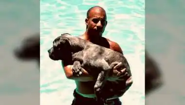 Vin Diesel Marks 25 Years of Fast & Furious Franchise