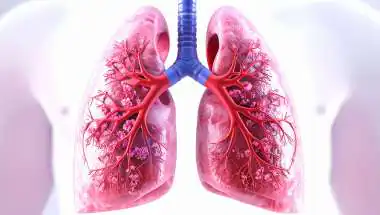 Gujarat Records Steady Rise in Lung Cancer Cases