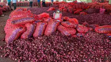 Onion Prices in Delhi: Government Starts Sale at ₹35/kg, Up to 44% Cheaper Than Market Rate
