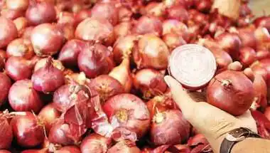 Onion Price Today: Delhi, Mumbai, Kolkata and Chennai Rates Remain Above ₹50/kg Despite ₹35 Subsidised Sale