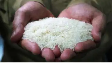 Three Price Hikes in 50 Days: Tamil Nadu Households Pay More for Rice