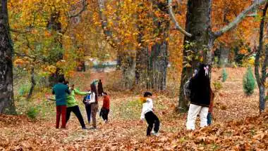Kashmir Autumn 2026: Migratory Birds, Chinars and a Warm Spell