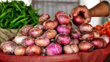 Onion Prices Fall as Fresh Crop Reaches Markets